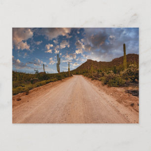 Deserts   Saguaro National Park Arizona Postcard