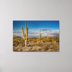 Deserts Superstition Mountains, Arizona Canvas Print