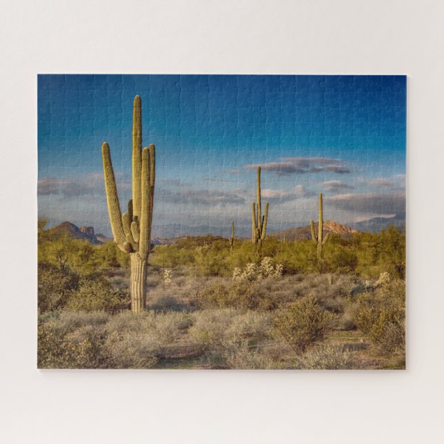 Deserts | Superstition Mountains, Arizona Jigsaw Puzzle (Horizontal)
