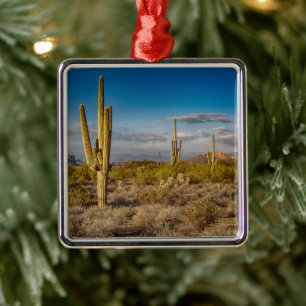 Deserts Superstition Mountains, Arizona Metal Ornament