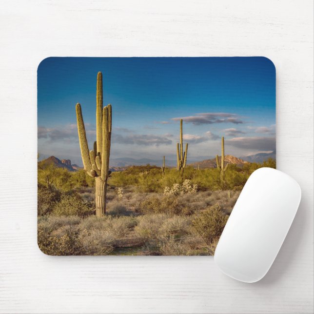 Deserts | Superstition Mountains, Arizona Mouse Pad (With Mouse)