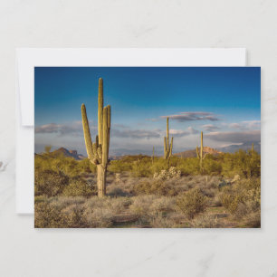 Deserts   Superstition Mountains, Arizona Thank You Card