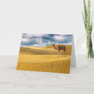 Deserts Thar Desert Rajasthan India Camel Card