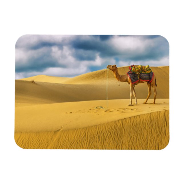 Deserts | Thar Desert Rajasthan India Camel Magnet (Horizontal)