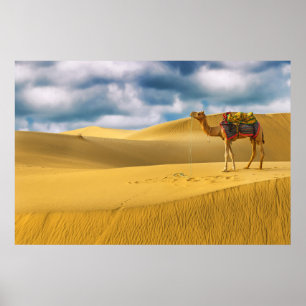 Deserts Thar Desert Rajasthan India Camel Poster