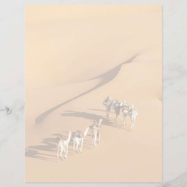 Deserts | Tuareg Walk with Camels (Front)