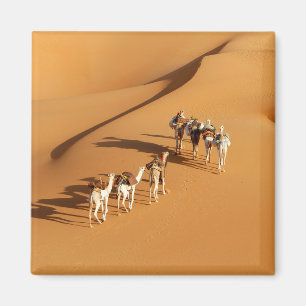 Deserts Tuareg Walk with Camels Magnet