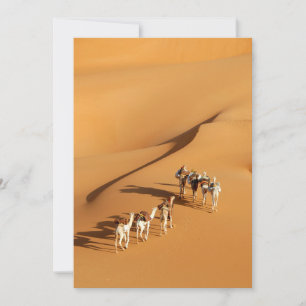 Deserts   Tuareg Walk with Camels Thank You Card
