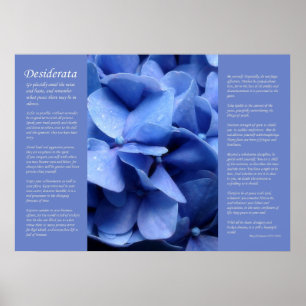 Desiderata - Blue Hydrangea Poster
