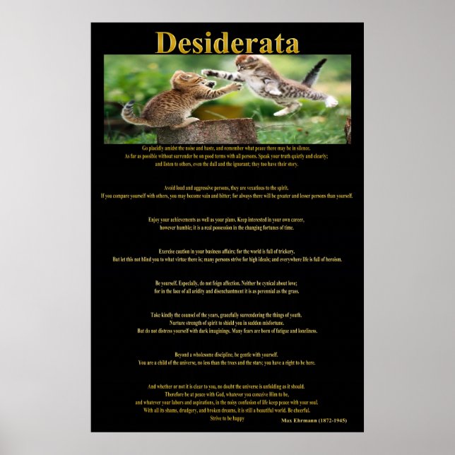 Desiderata Cat Fight Posters 1a (Front)