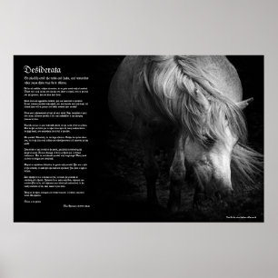 Desiderata - Fine Art Pony Head and Mane Poster