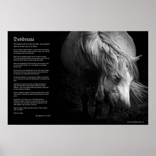 Desiderata - Fine Art Pony Head and Mane Poster (Front)