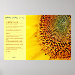 Desiderata - Golden Sunflower Seeds Poster