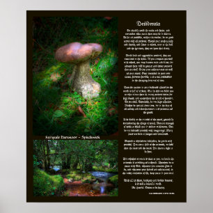 Desiderata - Hidden Sights of Fairytale Dartmoor Poster
