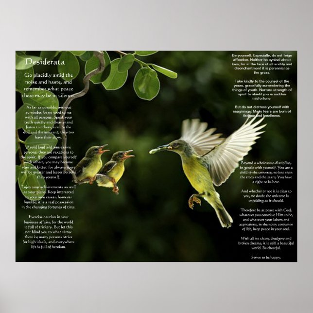 Desiderata Hummingbird Posters (Front)