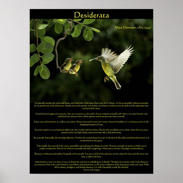 Desiderata Hummingbird Posters 3 (Front)