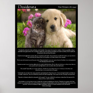 Desiderata kittens next to a puppy Posters