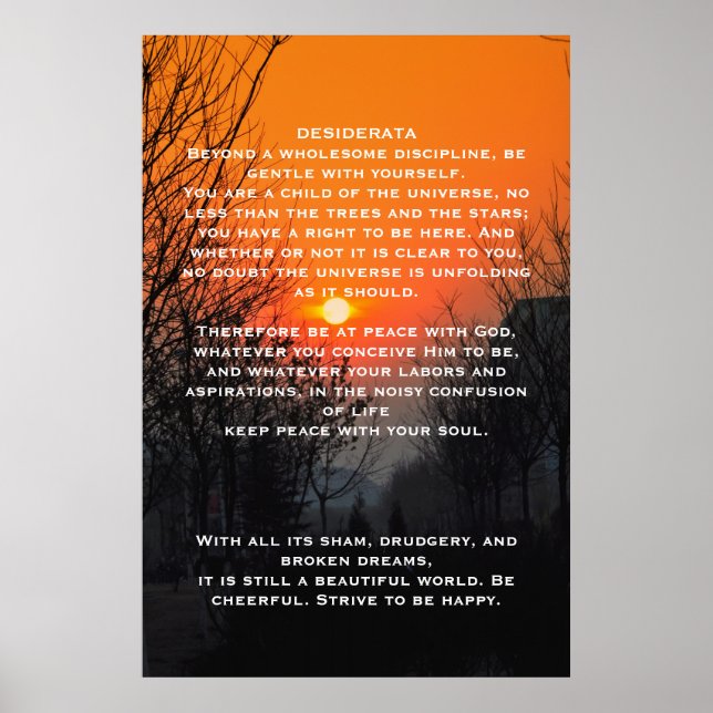 DESIDERATA Orange walkway Posters (Front)