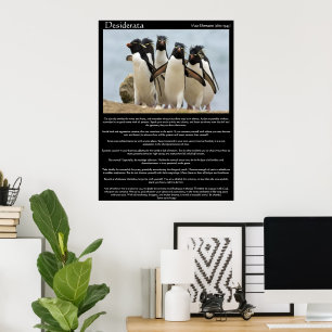 Desiderata Penguins Walking Posters