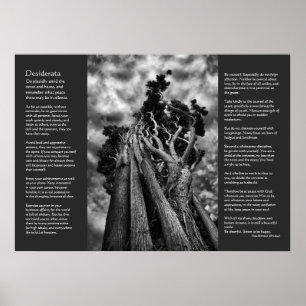 Desiderata Poem - Clawing The Skies Poster