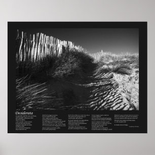 Desiderata Poem - Fencing In The Dunes, Fine Art Poster