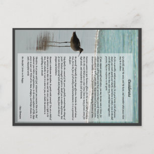 Desiderata Poem - Seagull on the Beach Scene Postcard