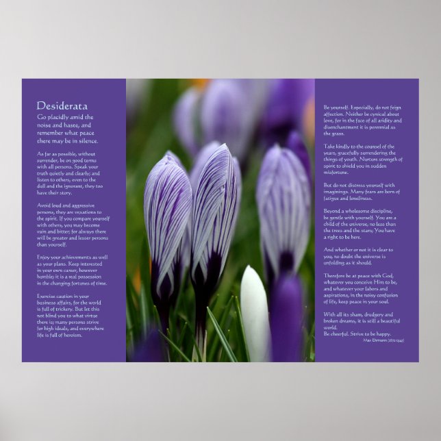 Desiderata Poem - Variegated Spring Crocuses Poster (Front)