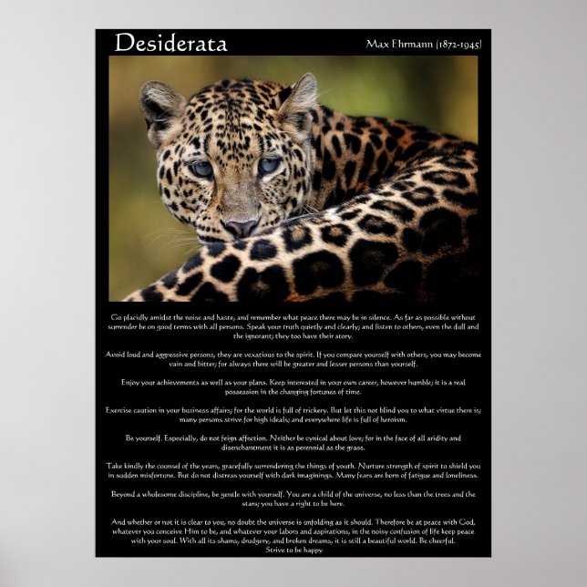 Desiderata Posters 8 (Front)