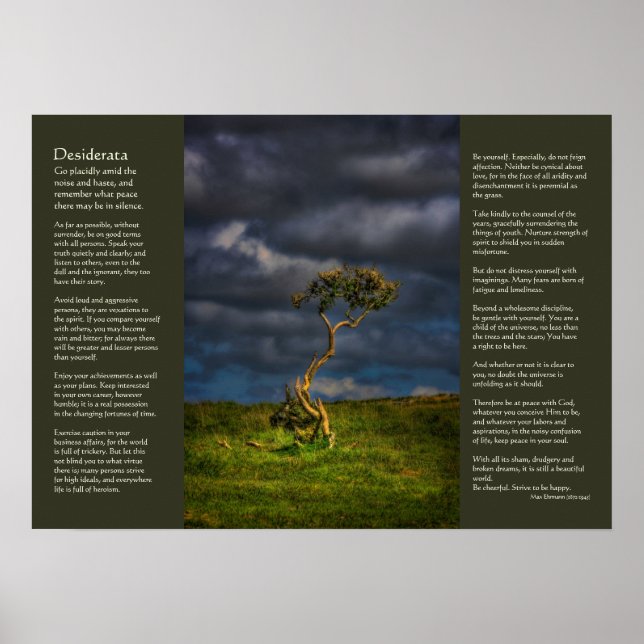 Desiderata - The Last Survivor Poster (Front)