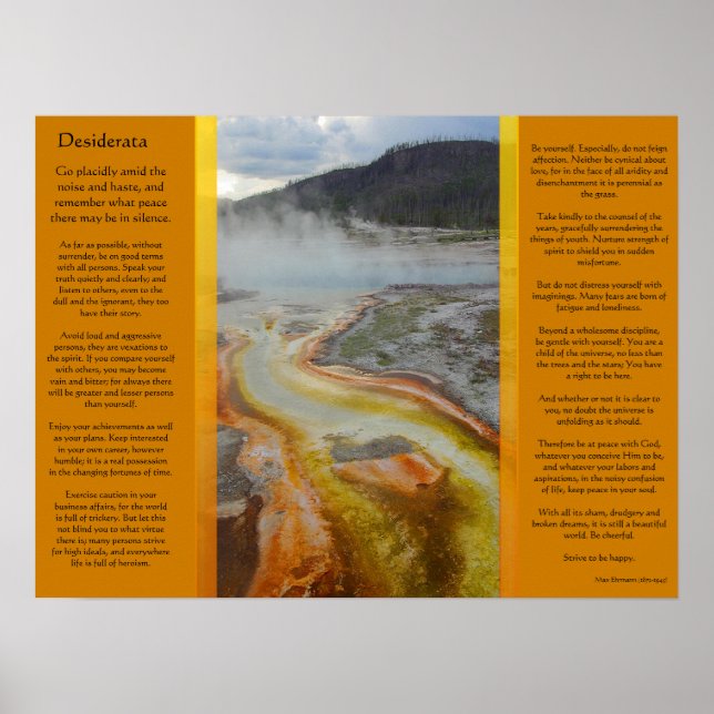 DESIDERATA Thermal Pools Posters (Front)