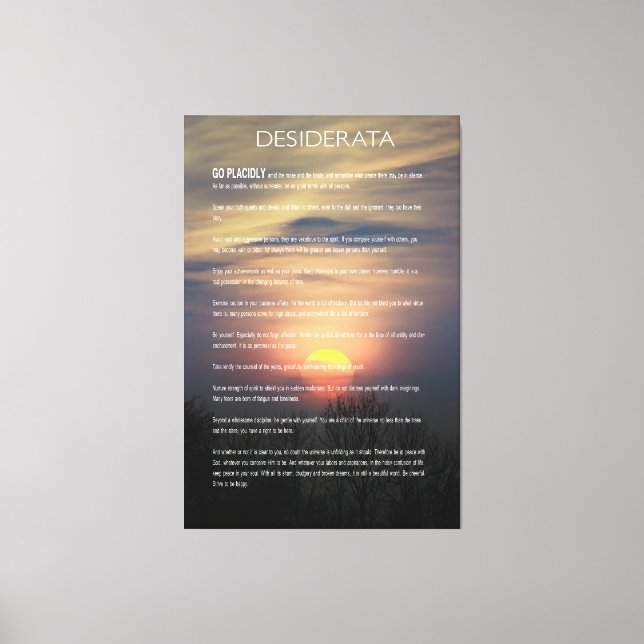 DESIDERATA Winter Sun Canvas Print (Front)