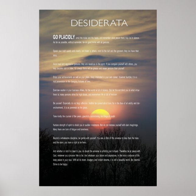 DESIDERATA Winter Sun Poster (Front)