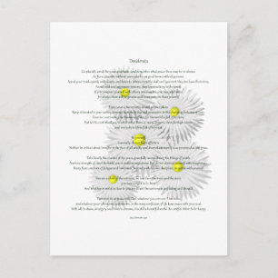 Desiderata with Daisies Postcard