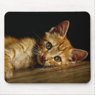 Design - Cute kitten Mouse Pad