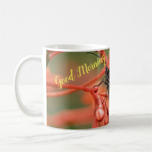 Design Mugs