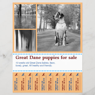 Design Selling Puppy Flyer