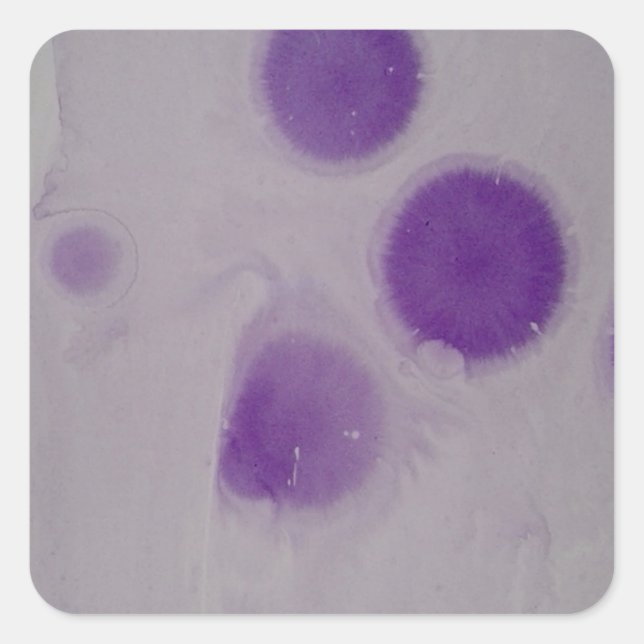 design square sticker (Front)