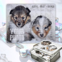 Design Your Own Custom Pet Photo 10x8” Acrylic