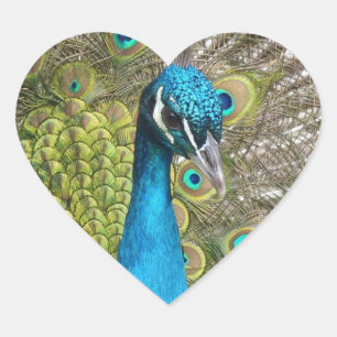 Design your own Custom Photo Stickers Heart Shaped