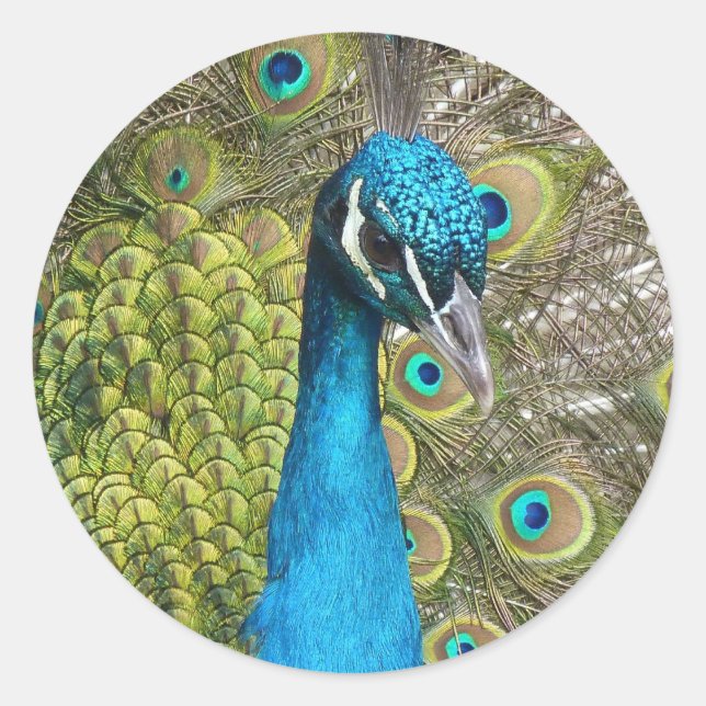 Design your own Custom Photo Stickers Round Circle (Front)