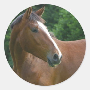 Design your own Custom Photo Stickers Round Circle