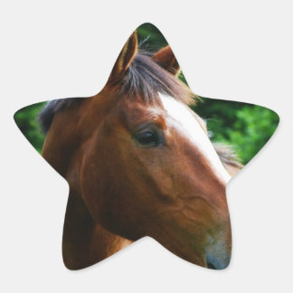 Design your own Custom Photo Stickers Star Shape