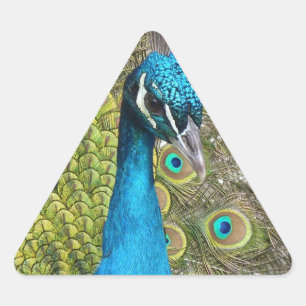 Design your own Custom Photo Stickers Triangle