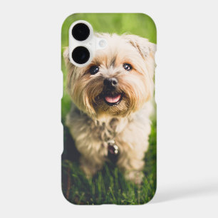 Design Your Own Online Personalized Photo Add Imag