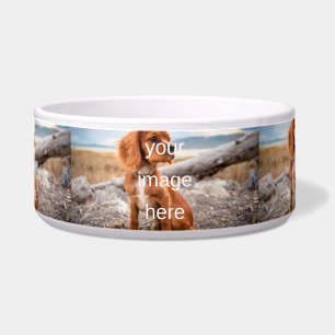 DESIGN YOUR OWN PET BOWL