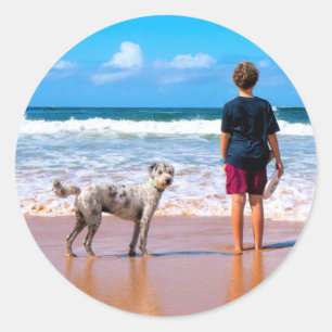 Design Your Own Pet Photo Stickers Personalised