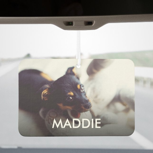 Design Your Own Pets Photo And Name Personalised Car Air Freshener (Creator Uploaded)