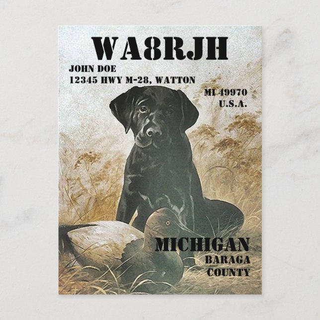 Design Your Own QSL HAM Radio Operator Op Lab Dog Postcard (Front)