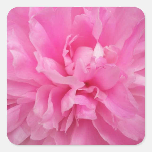 DESIGNER PINK FLORAL ENVELOPE SEAL AND STICKERS (Front)