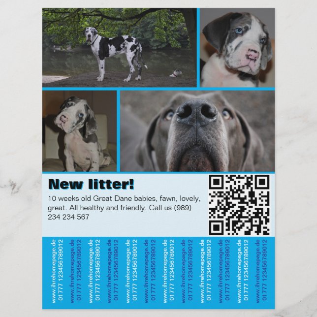 Designer Puppy Selling Flyer 4 pictures  (Front)